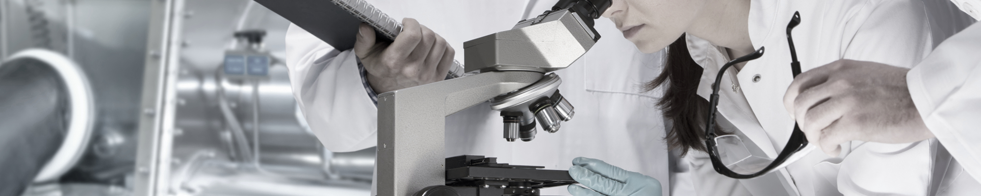 Brightfield Light Microscopy: Technical Insights and Applications