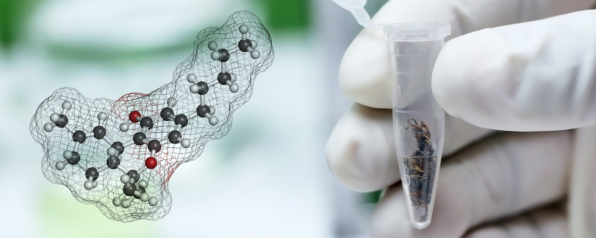 Testing Equipment and Solutions for Cannabis Analysis from GenTech Scientific