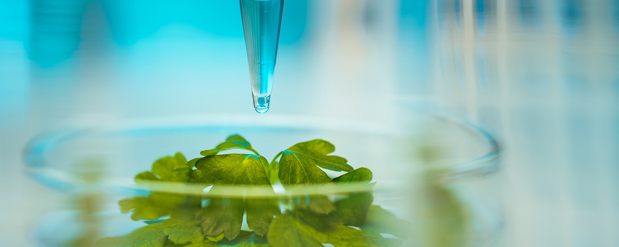 Tandem Mass Spectrometry Methods for Detecting Melamine and Other Adulterants in Food Items