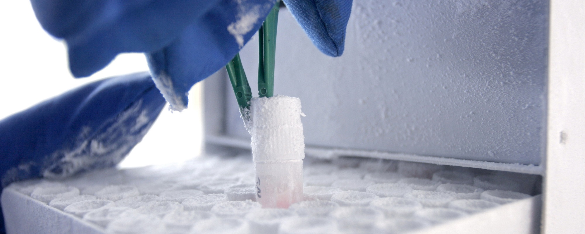 LabX Reasons to Upgrade: The 2017 Thermo Scientific TSX Series Ultra-Low Temperature Freezers