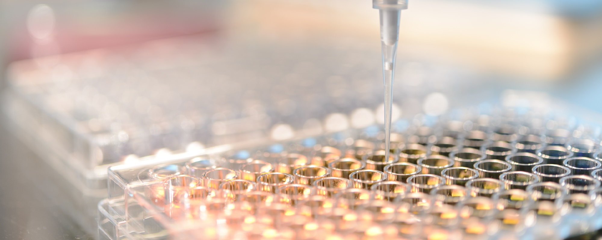 Sample Prep Solutions for Mass Spec Research and Clinical Applications