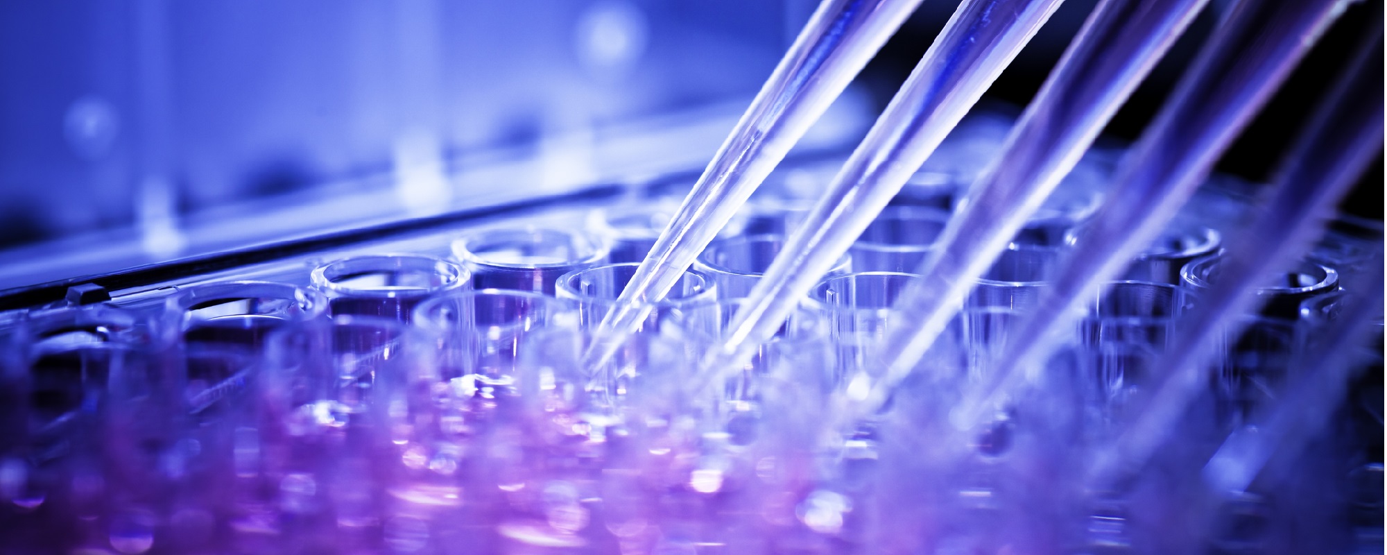 Microplate Technologies for the Modern Laboratory