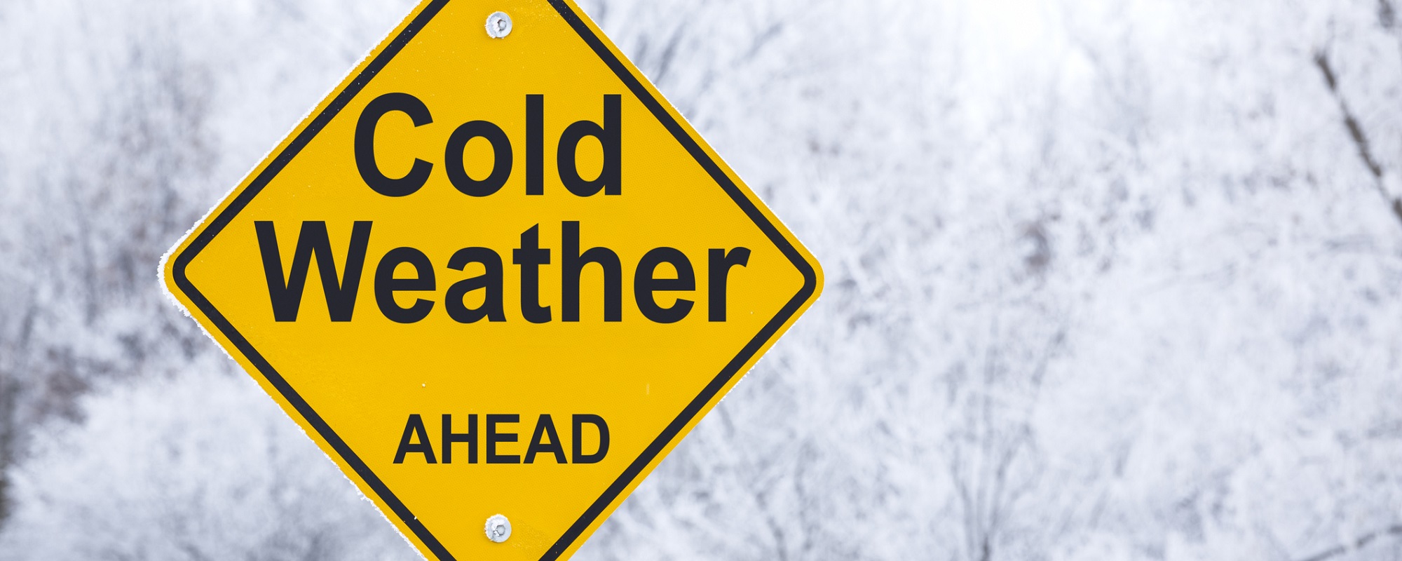 A Focus on Cold Storage and Temperature Control Products for the Modern Laboratory