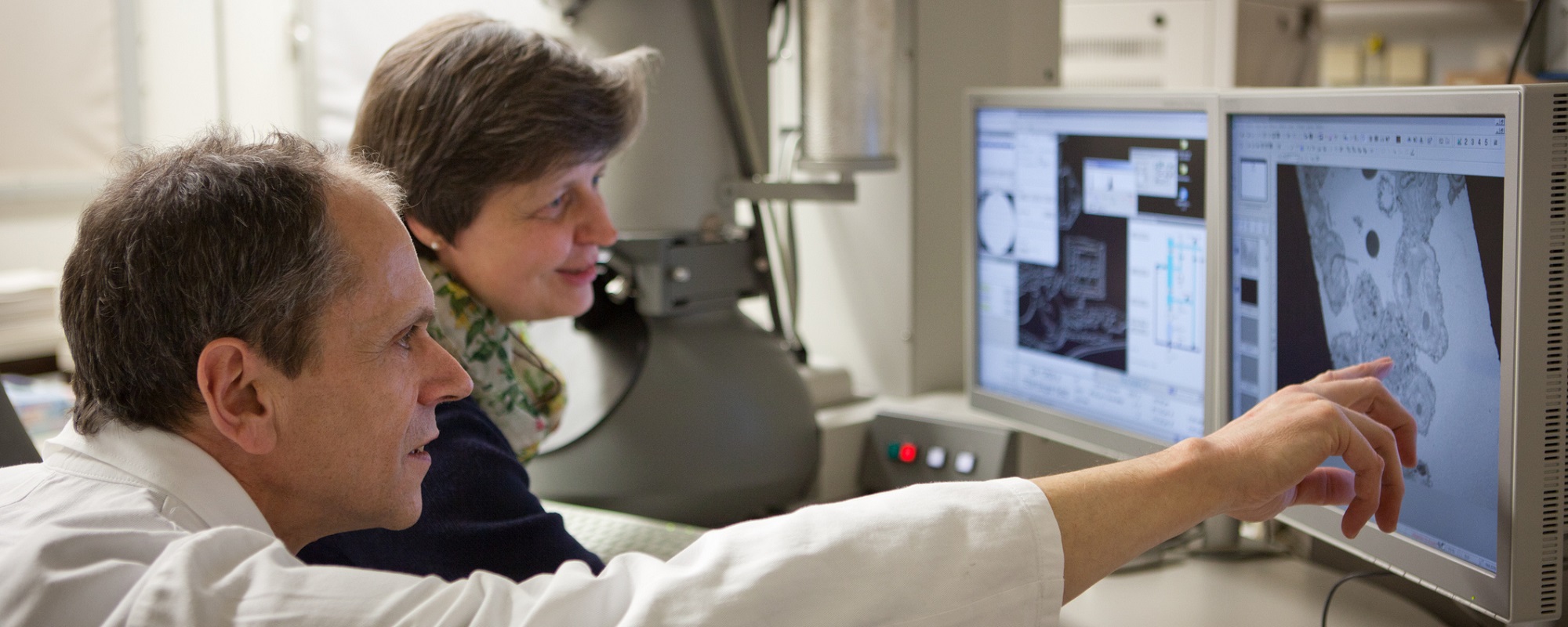 Versatile and Efficient Benchtop Scanning Electron Microscopes