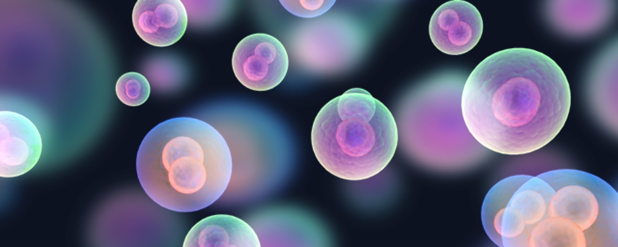 Flow Cytometry: Principles, Applications, and New Instrument Technologies