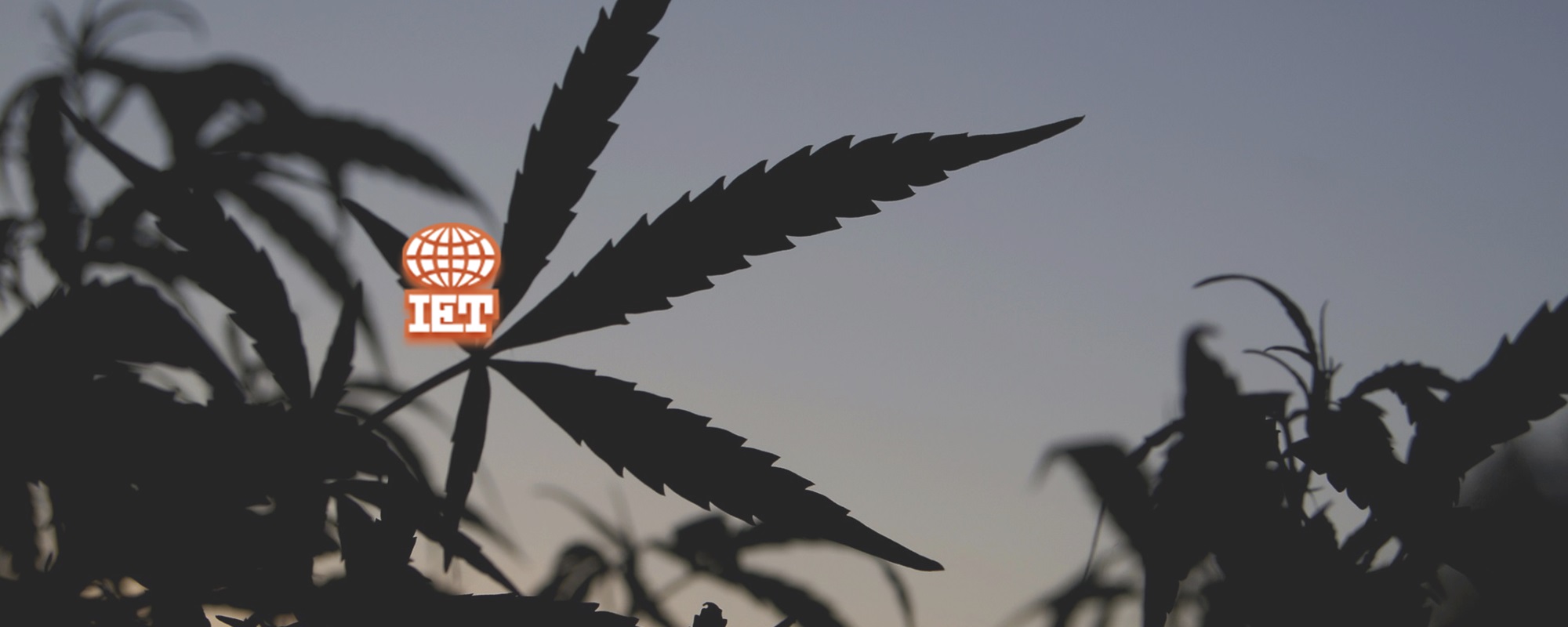 IET Cannabis Testing Solutions: Quality Refurbished Instruments and Resources