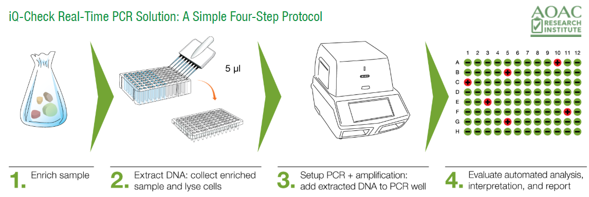 Bio-Rad RT-PCR Microbial Testing Solutions