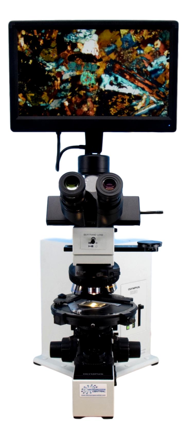 Main Image