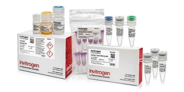 TrueTag Donor DNA Kits Accelerate Cell Line Engineering