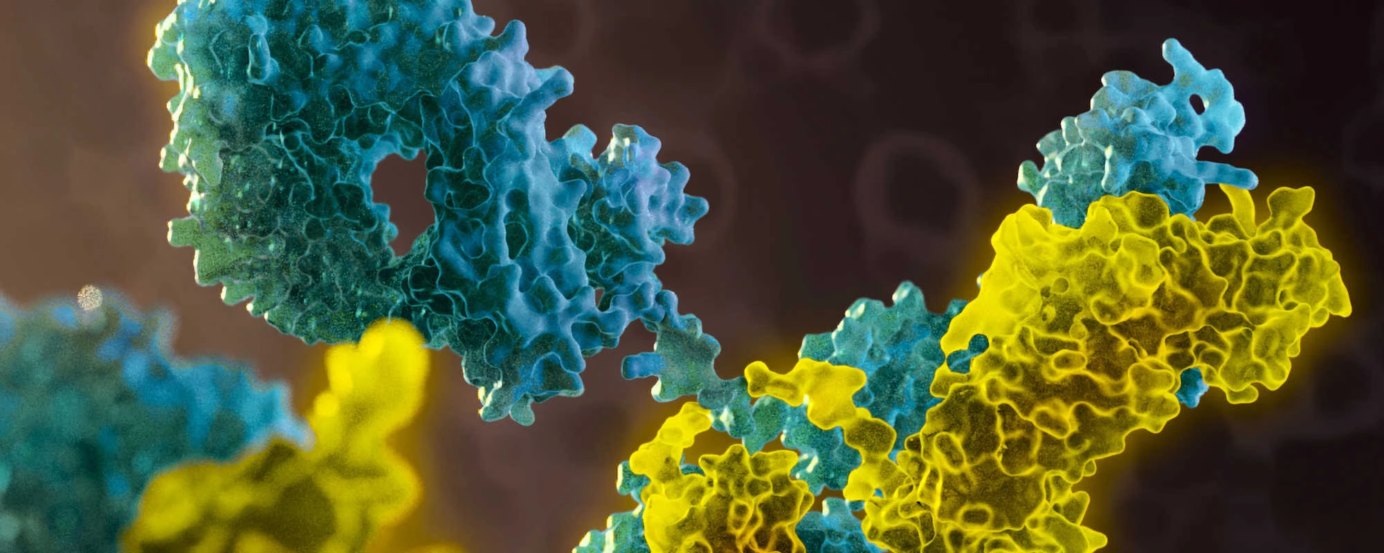 Lab Essentials to Advance Antibody Purification