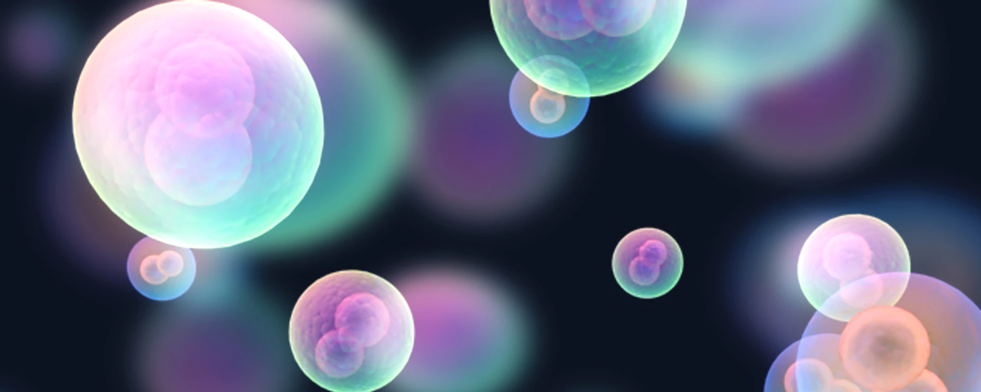 Tools and Solutions to Accelerate the Cell Line Development Process: An ...