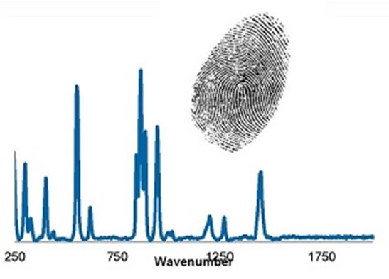 sample graph of Raman spectra with a fingerprint 