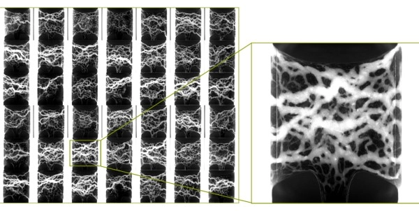 images of the OrganoPlate