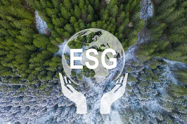 A aerial view of a forest

AI-generated content may be incorrect.