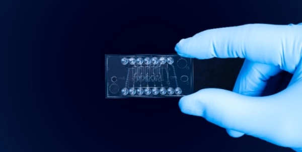 Researcher holding up the new microfluidics chip