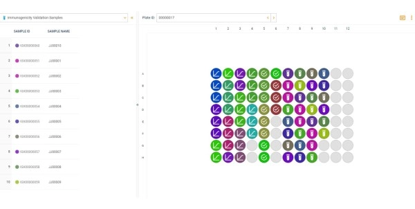 Screenshot of the 24.12 lab informatice program