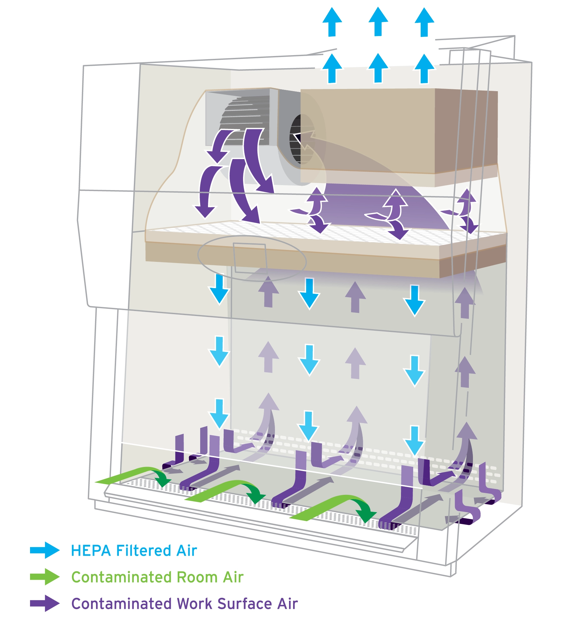 Diagram of Class II, Type A2 Biosafety Cabinet Airflow Dynamics