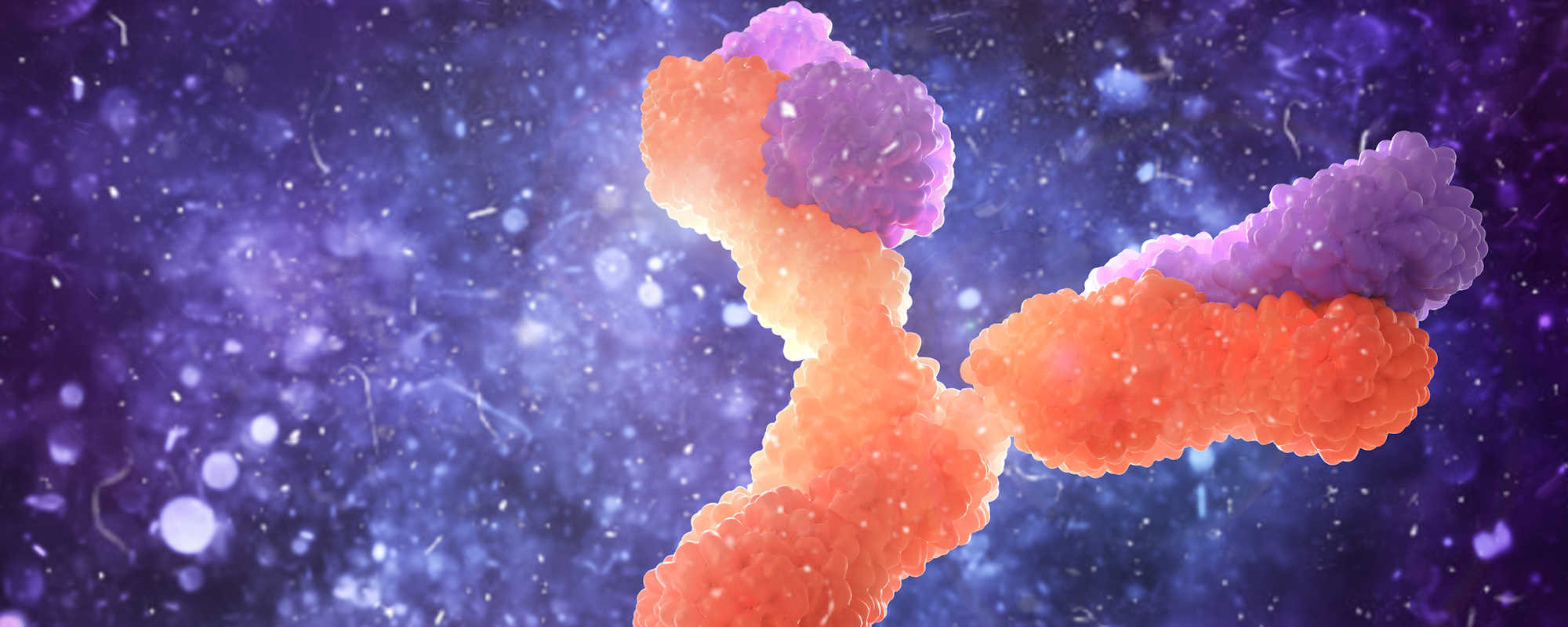 Things You May Not Have Known About Antibodies and Their Applications