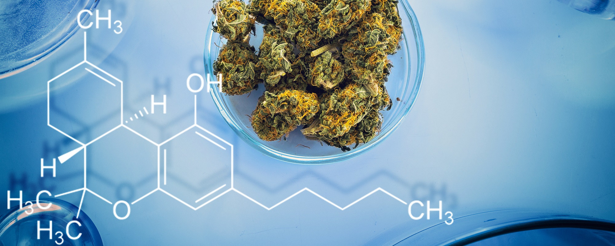Opportunities in the Evolving World of Cannabis-Based Pharmaceuticals