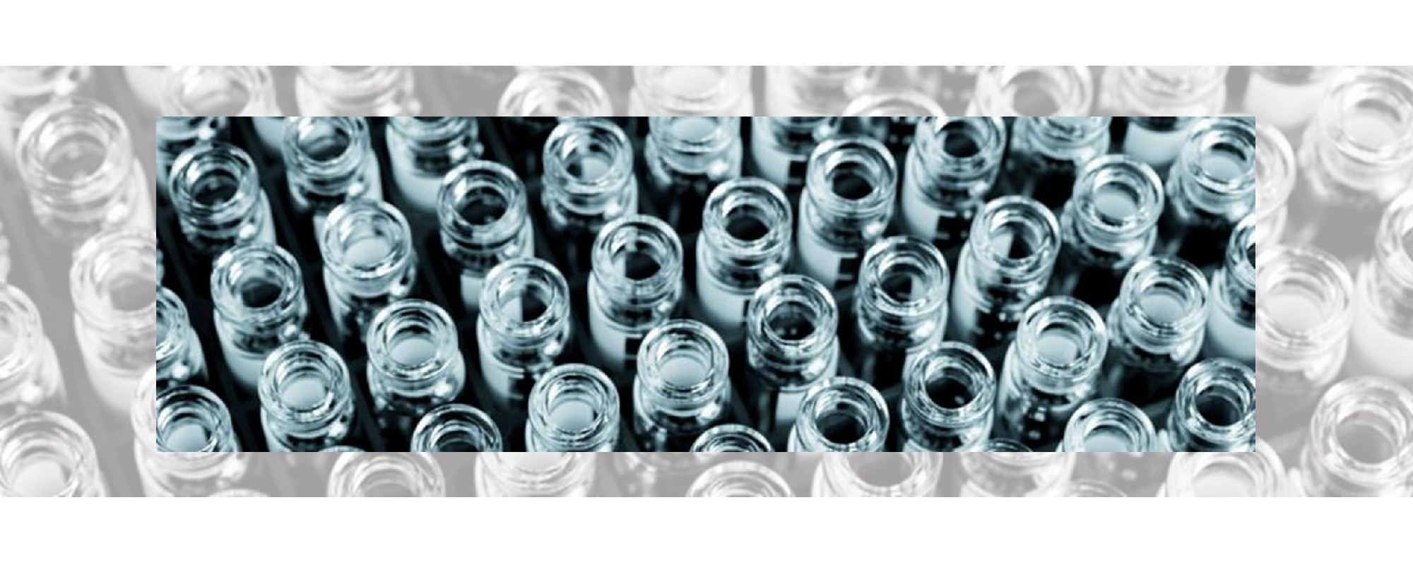 Mass Spectrometry and the Requirements for High Purity Lab Water