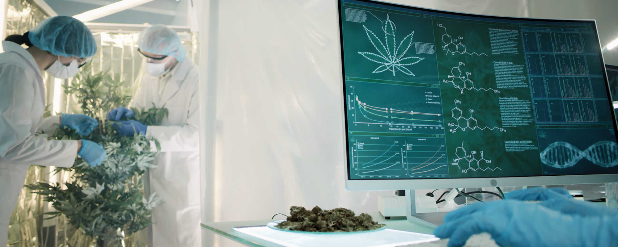 The Hamilton HPLC Applications Library: A Resource for Cannabis Testing Solutions