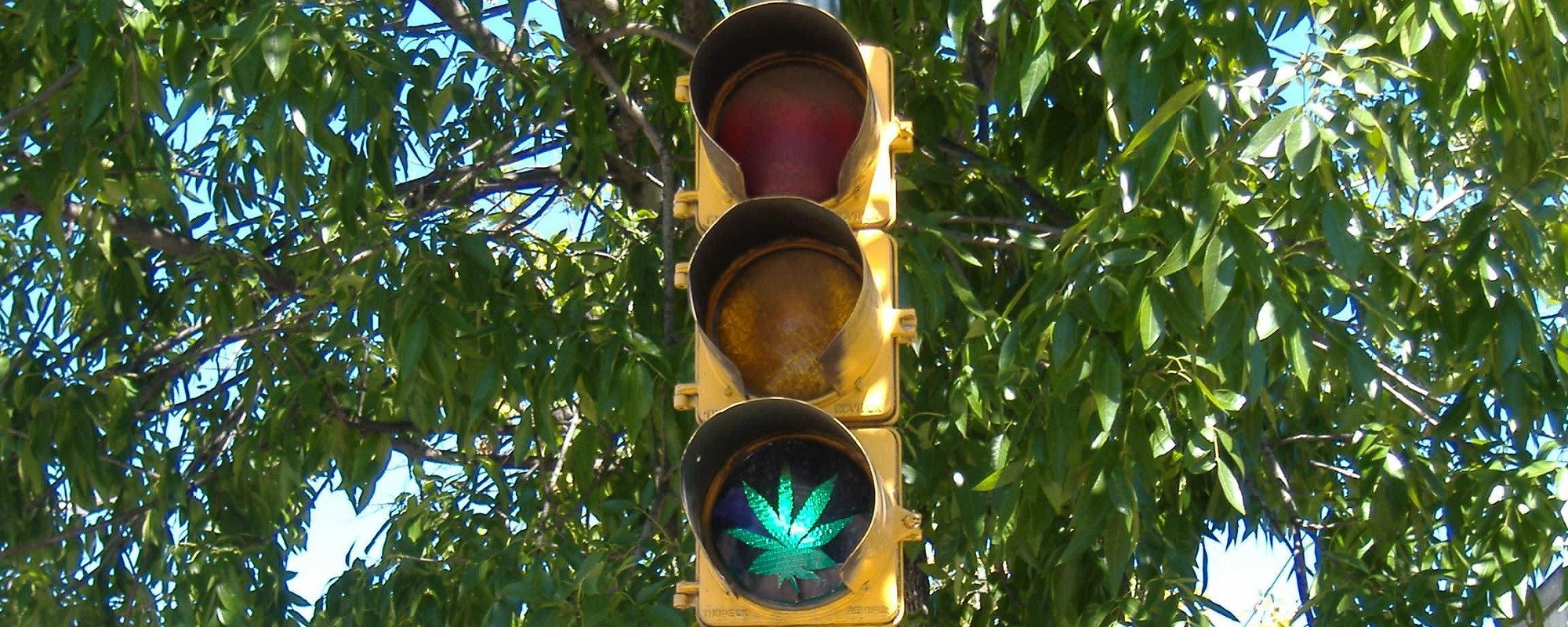 Cannabis-derived Prescription Medicines get the Green Light?