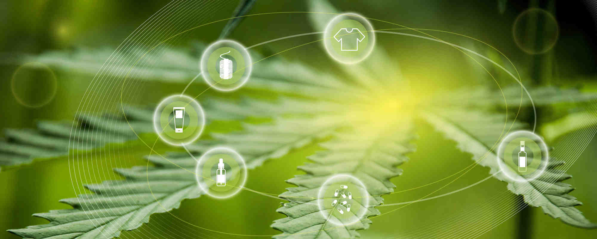 Cannabis Laboratory: Short-Term Challenges and Long-Term Growth for an Evolving Industry