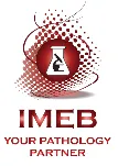 IMEB, Inc