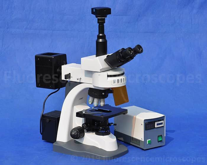 40X-1000X Infinity Corrected Epi Illumination Upright Fluorescence Microscope