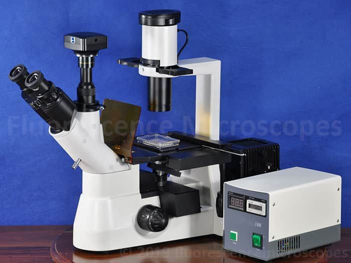 40-400x (w/10x eye) Infinity Phase Contrast Inverted Epi Fluorescence Microscope