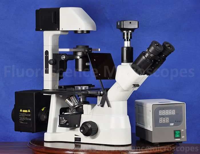 40X - 600X Infinity Corrected Phase Contrast Inverted Fluorescence Microscope