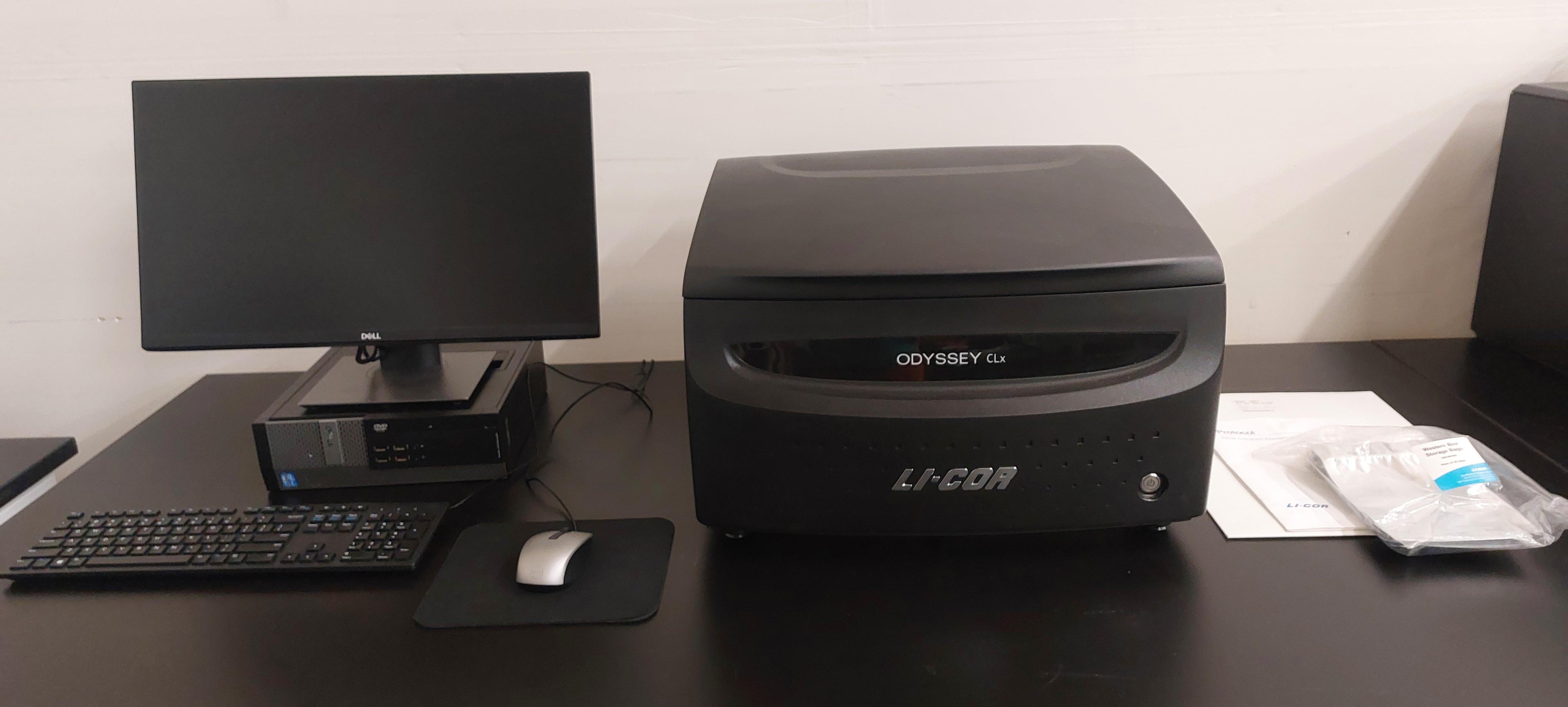 Li-Cor Odyssey CLx Imager (Year 2021)