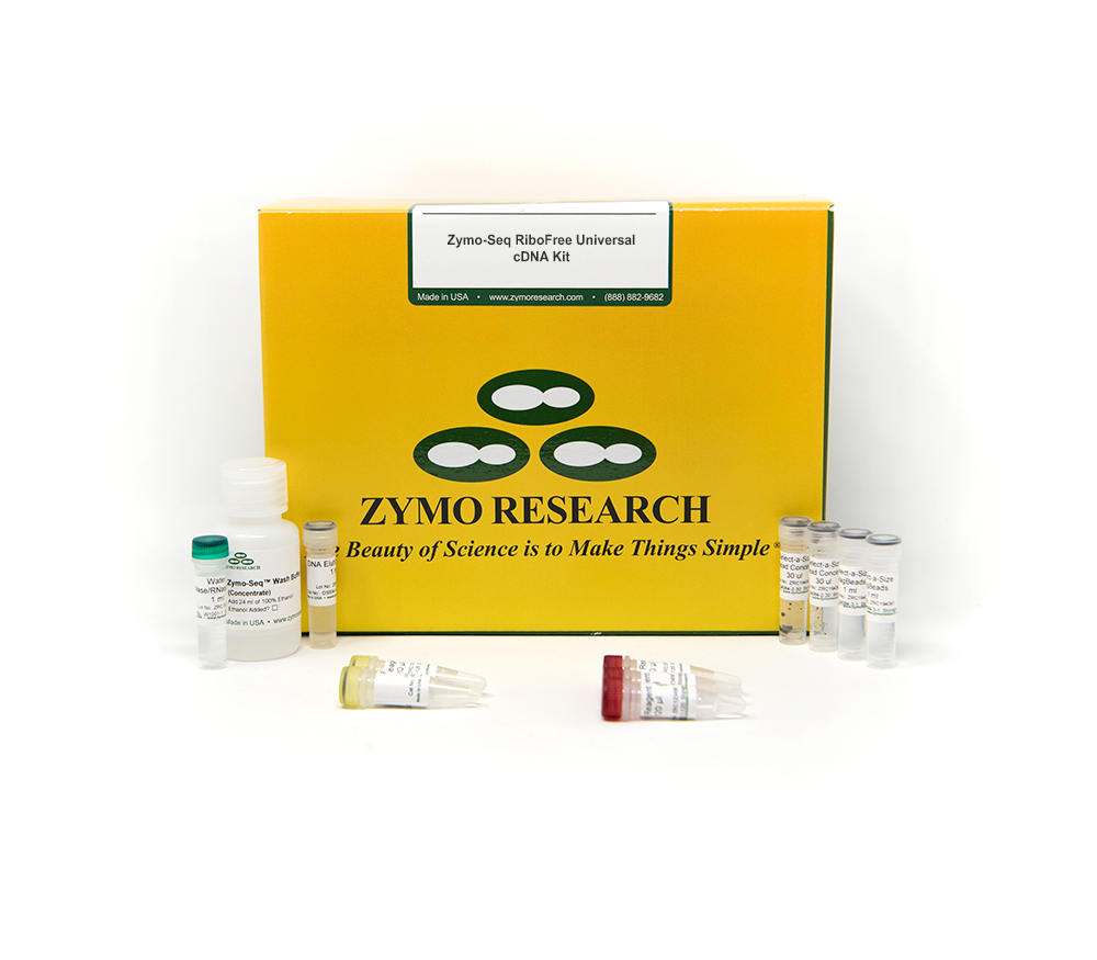 Zymo-Seq RiboFree Universal cDNA Kit (12 preps)