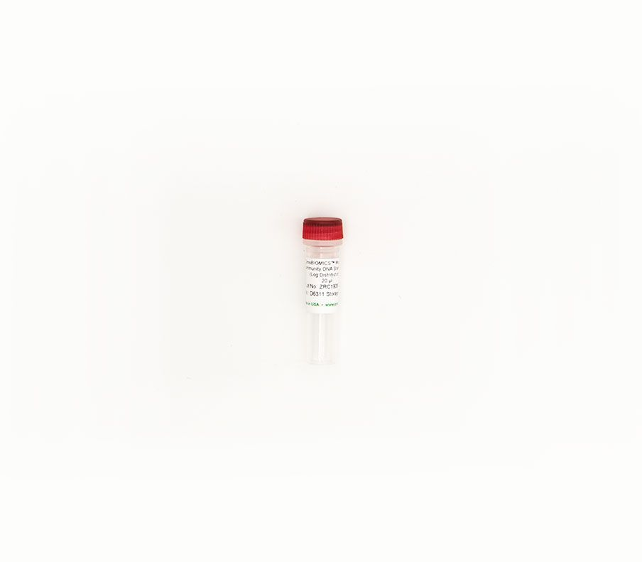 ZymoBIOMICS Microbiome Standard 20 µl