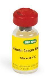 Bio-Plex Pro Human Cancer Biomarker Panel 2, 18-plex Standards #171DC6000