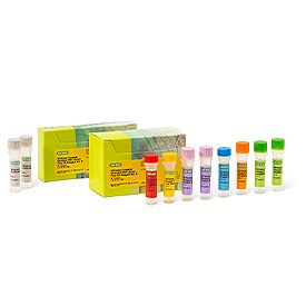 SEQuoia Complete Stranded RNA Library Prep Kit, 96 reactions