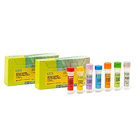 SEQuoia Complete Stranded RNA Library Prep Kit, 24 reactions