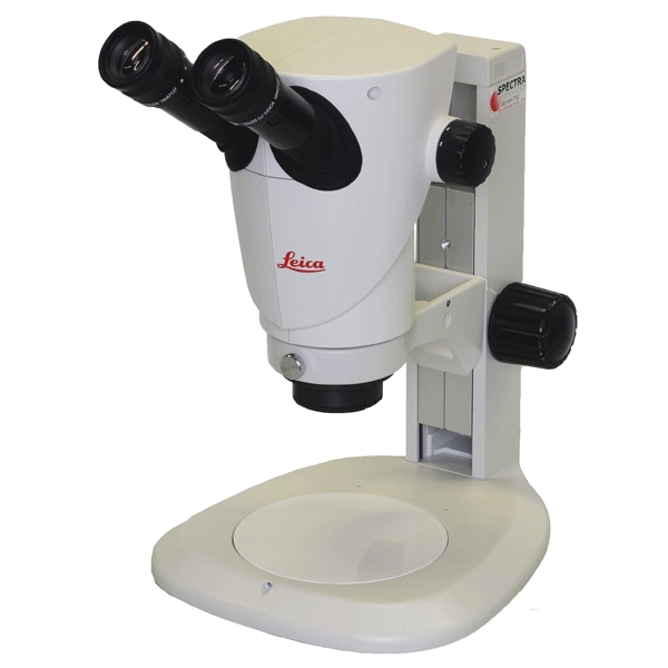 Leica S9E Stereo Microscope on Table Stand