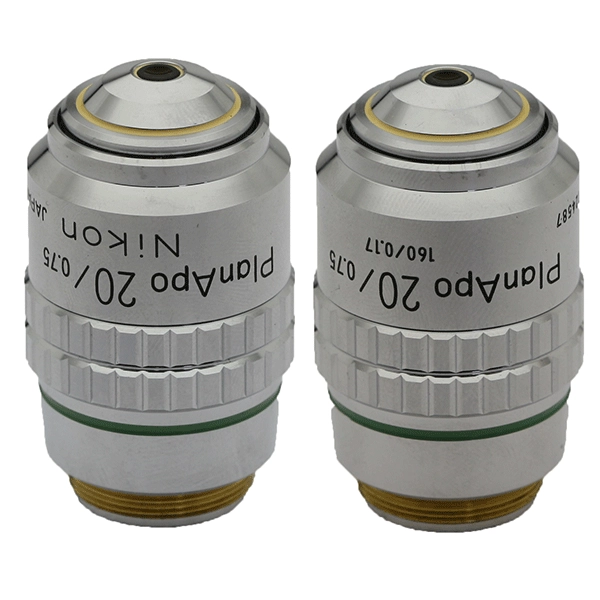 Nikon PlanApo 20x/0.75na Objective