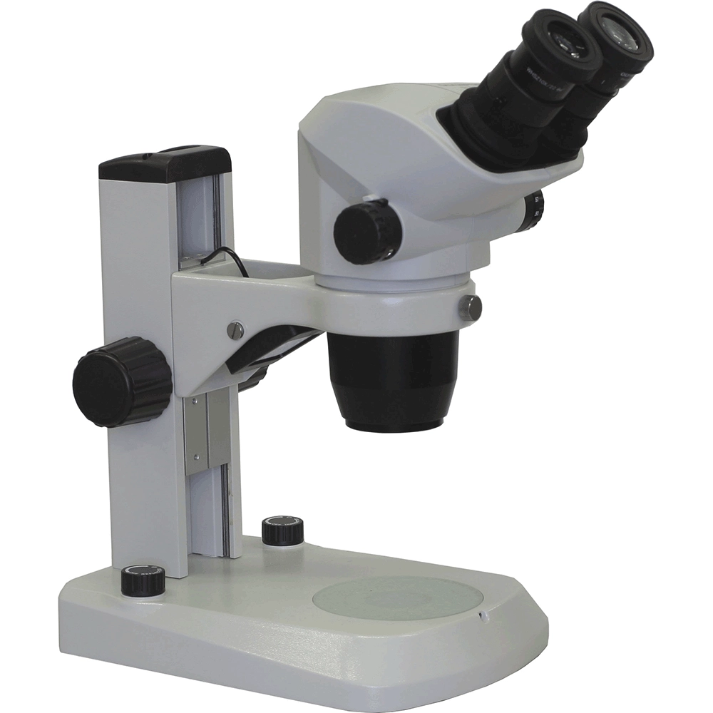Olympus SZ61 Stereo Microscope on LED Table Stand