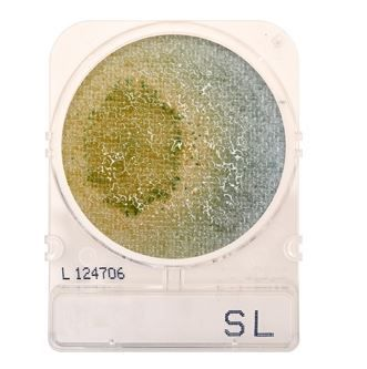 Hardy Diagnostics Compact Dry Salmonella (SL) 