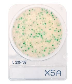 Hardy Diagnostics Compact Dry XSA