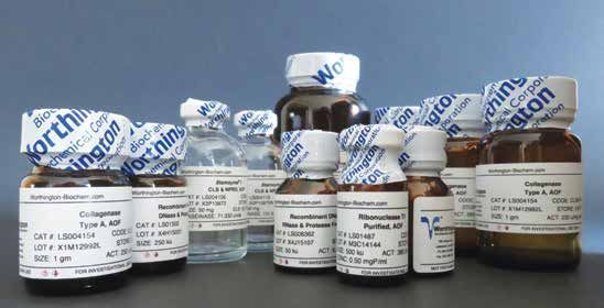 Deoxyribonuclease I, Standard Vial from Worthington Biochemical