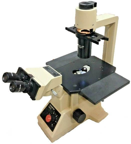 Inverted phase contrast microscope | Olympus CK-2 (Pre-owned)