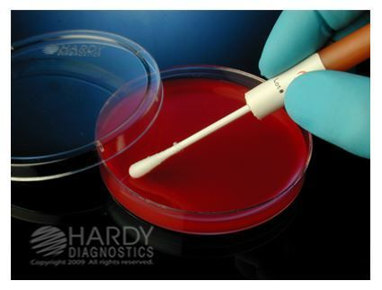 Hardy Diagnostics Microbiologics - Big 6 STEC QC Set