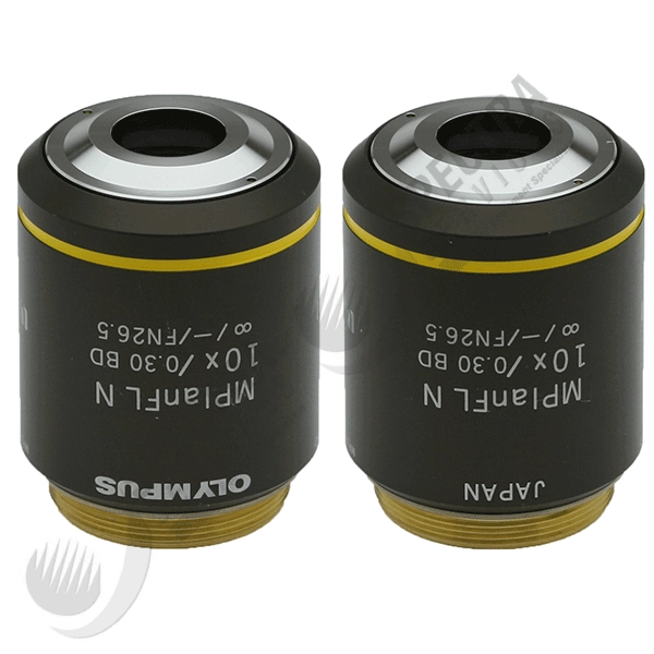 Olympus MPlanFLN 10x/0.30na BD Objective