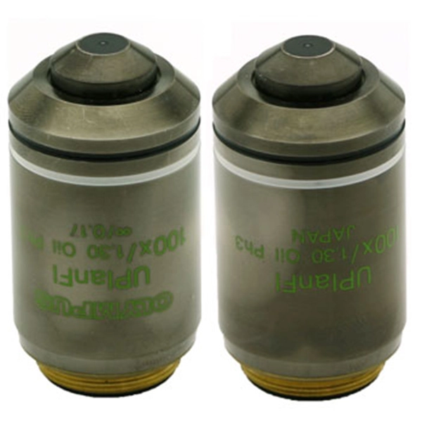 Olympus UPlanFL 100x/1.30 Ph3 Objective