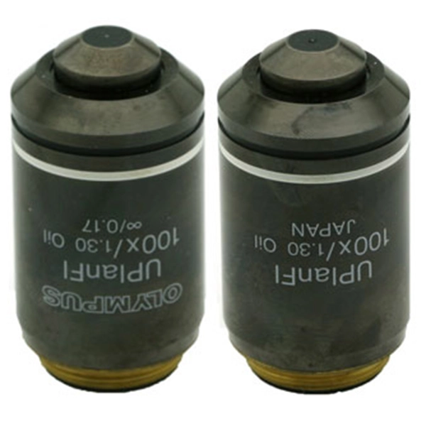 Olympus UPlanFL 100x/1.30na Oil Objective
