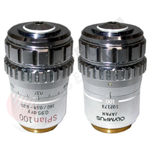 Olympus SPlan 100x/0.95na Objective