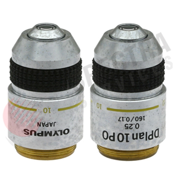 Olympus D Plan 10x/0.25na Pol Objective